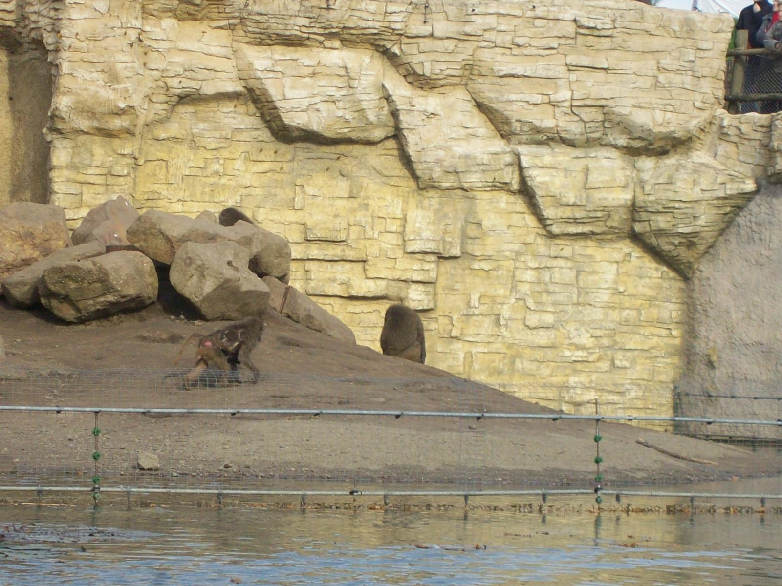 Zoom 18.10.2008-153.jpg